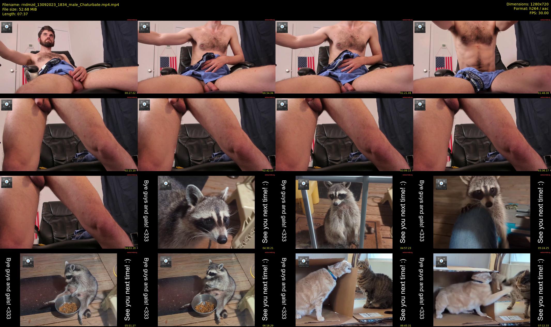 rndmzd — Chaturbate Male stripcam clip, Sep 13, 2023