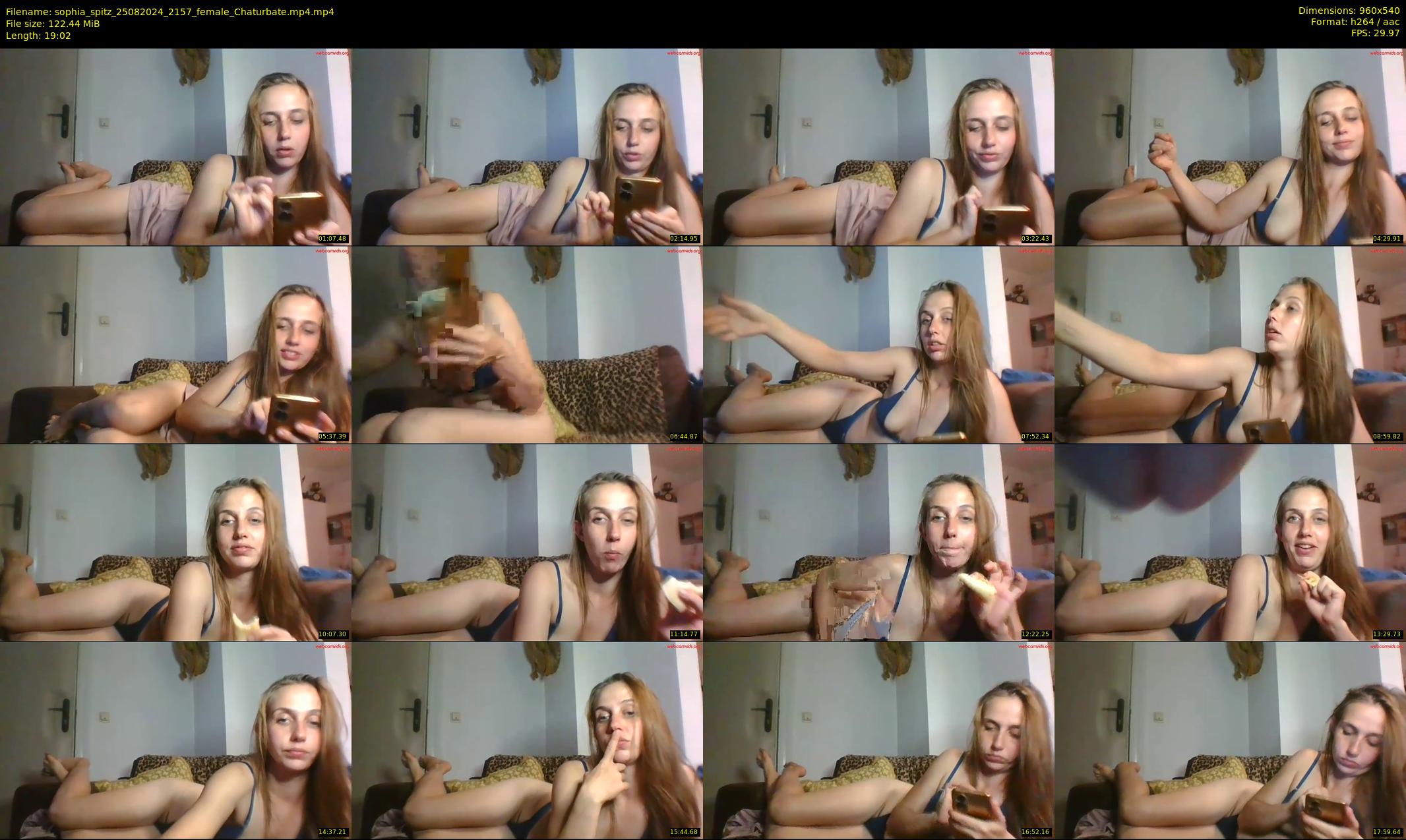 sophia_spitz