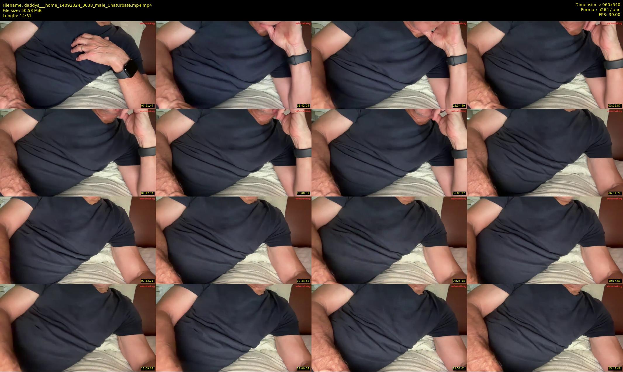 daddys___home